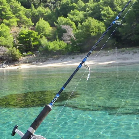 Holiday Artina 1 * Lovište