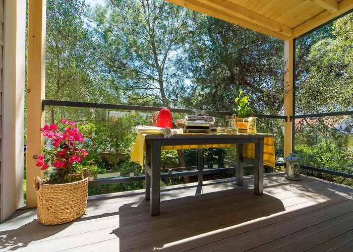 Artina 1 Tatil Evi Lovište