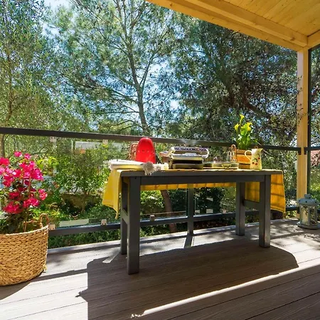 Artina 1 Tatil Evi Lovište