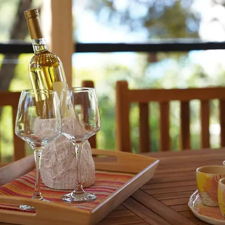 Artina 1 Tatil Evi *