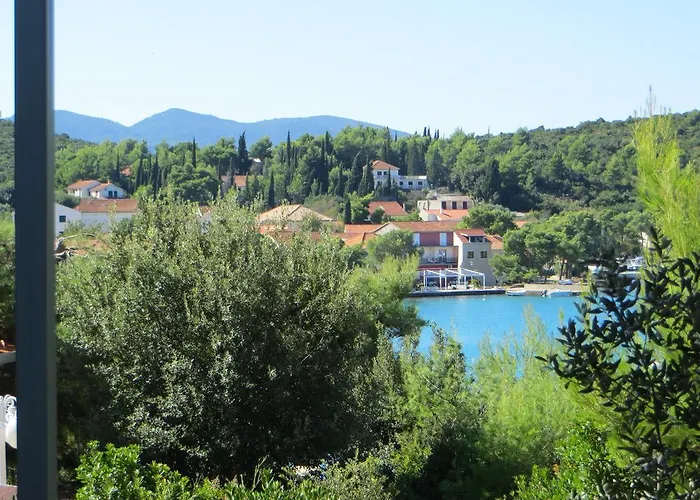 Artina 1